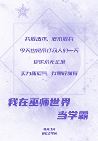 我在巫师世界当学霸