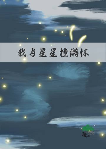 我与星星相遇