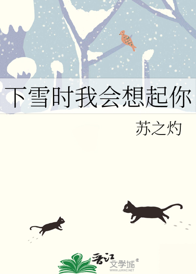 下雪时我会想起你